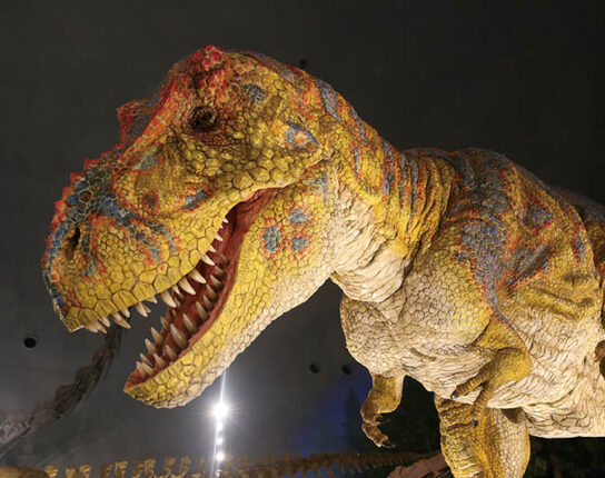 リニューアルした日本一の恐竜博物館と化石発掘体験